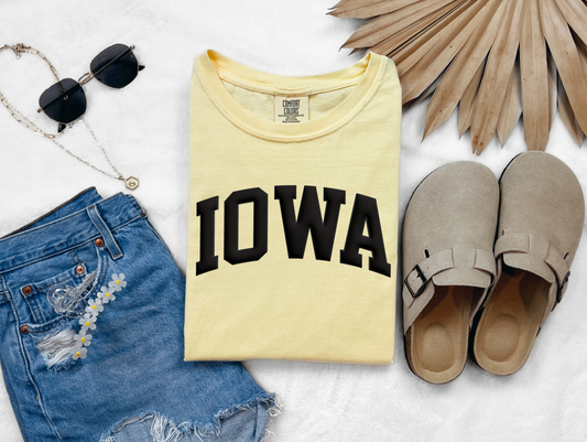 3D Puff Iowa T-shirt