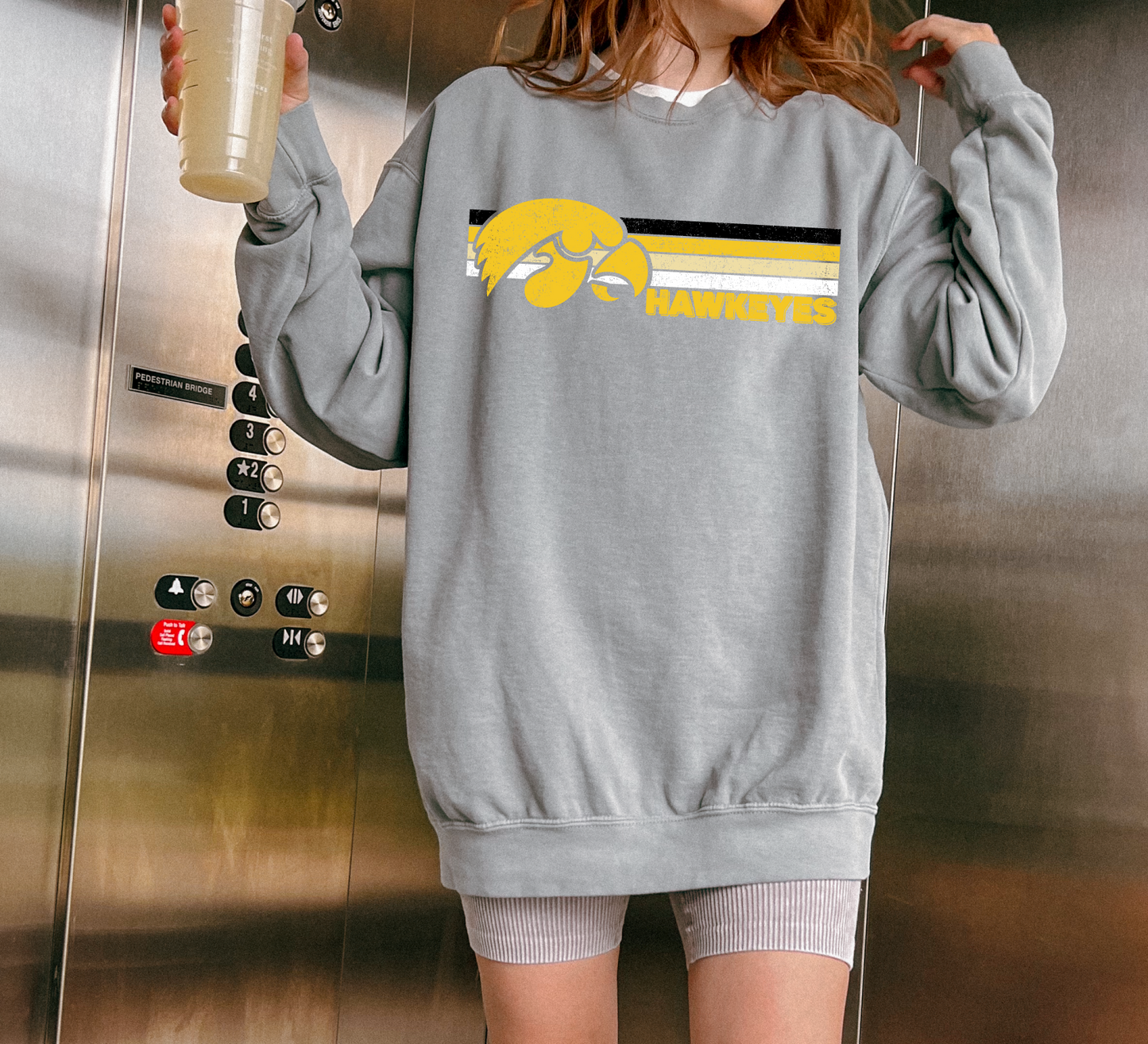 Hawkeyes Vintage Linear Premium Sweatshirt