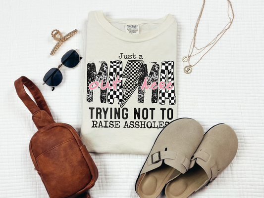 Trying Not to Raise Assholes T-shirt