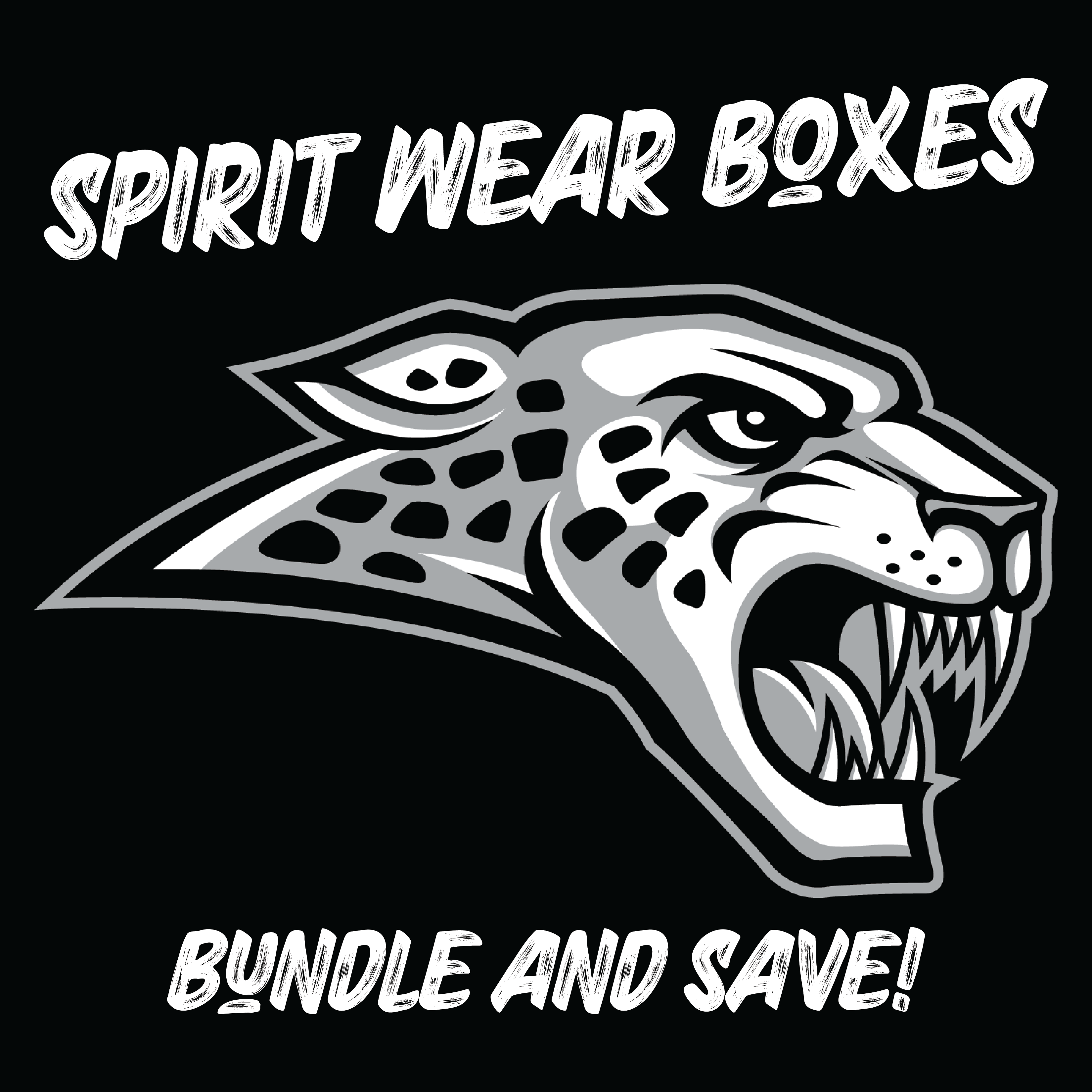 Ankeny Centennial Jaguars Spirt Wear Boxes