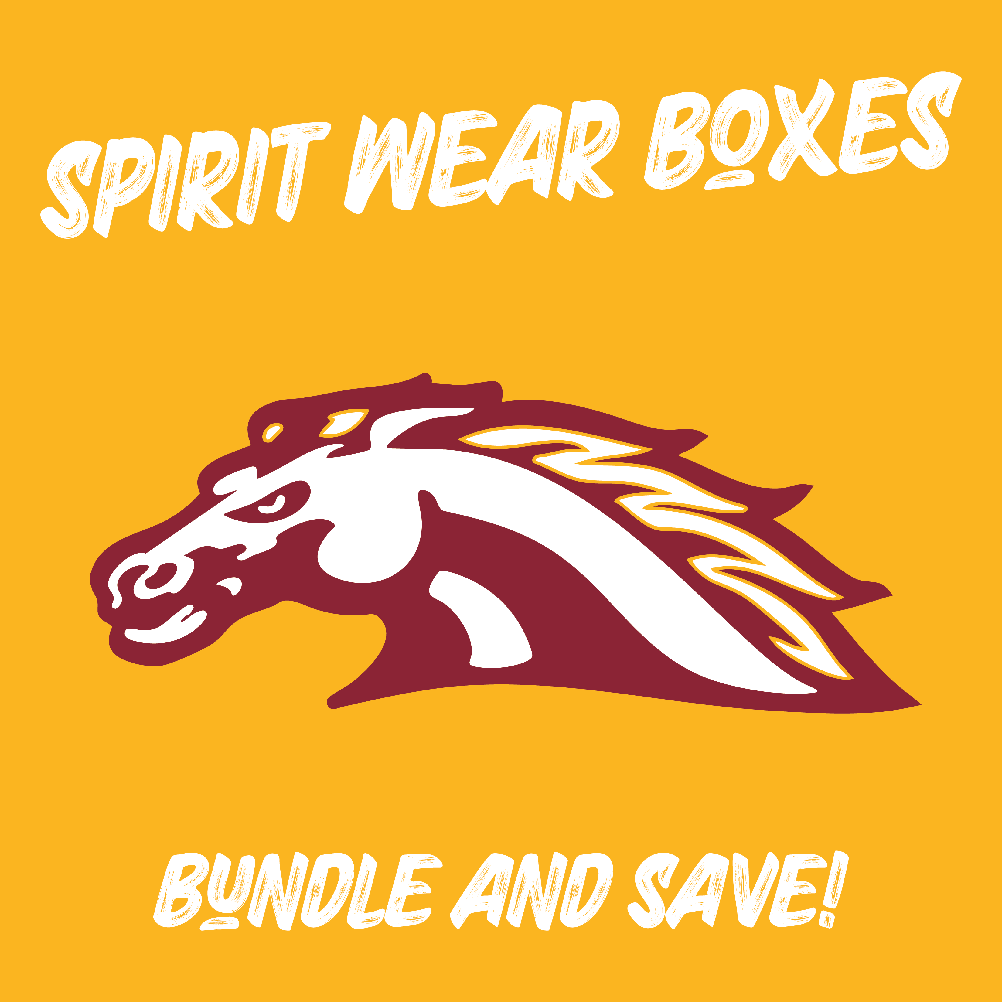 PCM Mustangs Spirt Wear Boxes