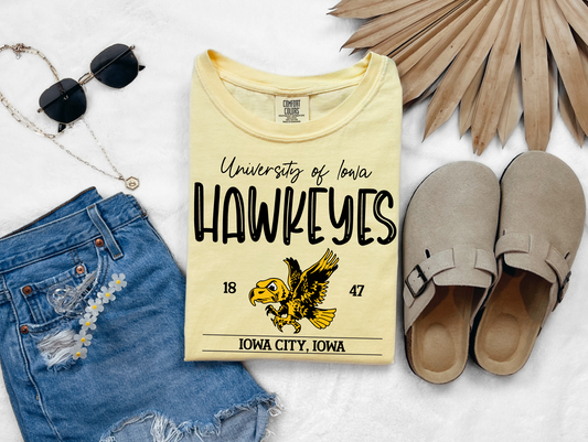 Iowa Hawkeyes Vintage T-shirt