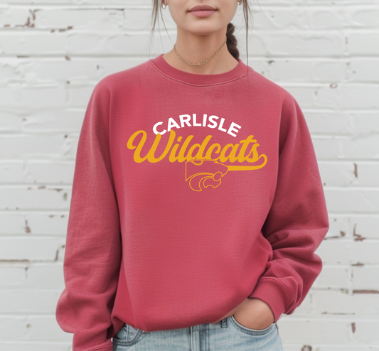 Vintage Carlisle Wildcats Premium Sweatshirt