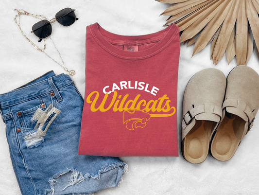 Vintage Carlisle Wildcats T-shirt