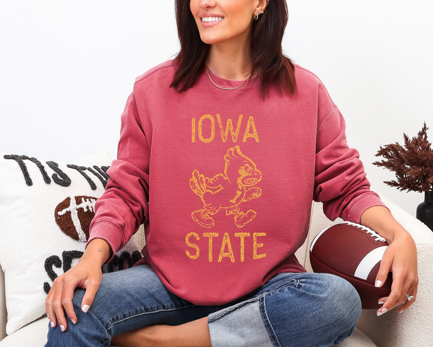 Distressed Iowa State Sweatshirt