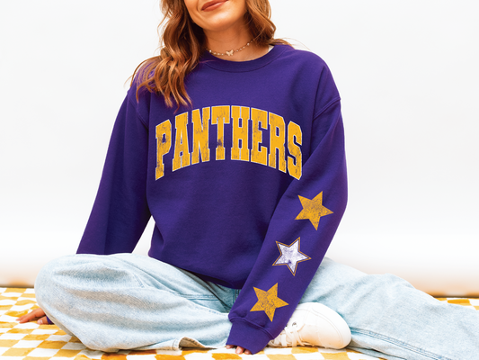Panthers Star Sleeve Sweatshirt