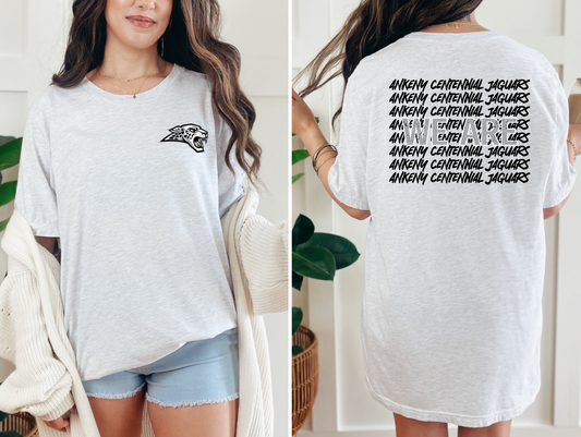 We Are Ankeny Centennial Jaguars T-shirt
