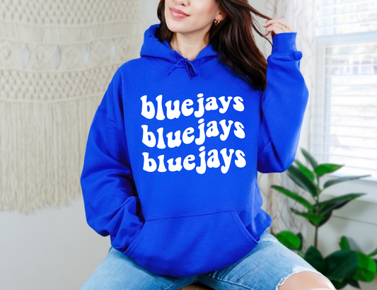 Groovy Bluejays Sweatshirt
