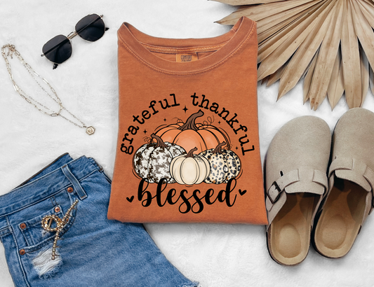 Grateful, Thankful, Blessed T-shirt
