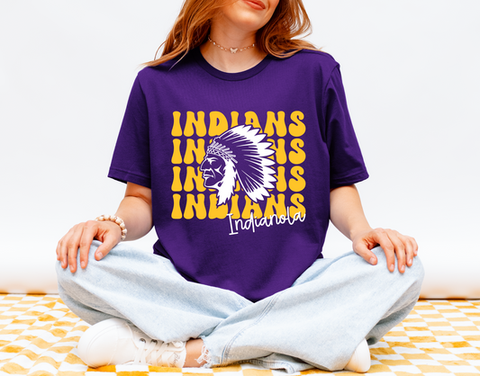 Retro Groovin' Indians T-shirt