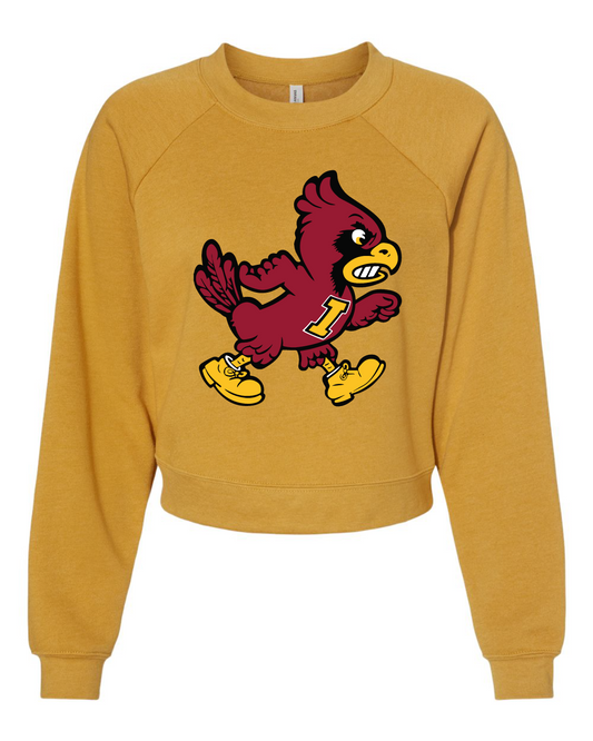 Cyclones Crop Sweatshirt