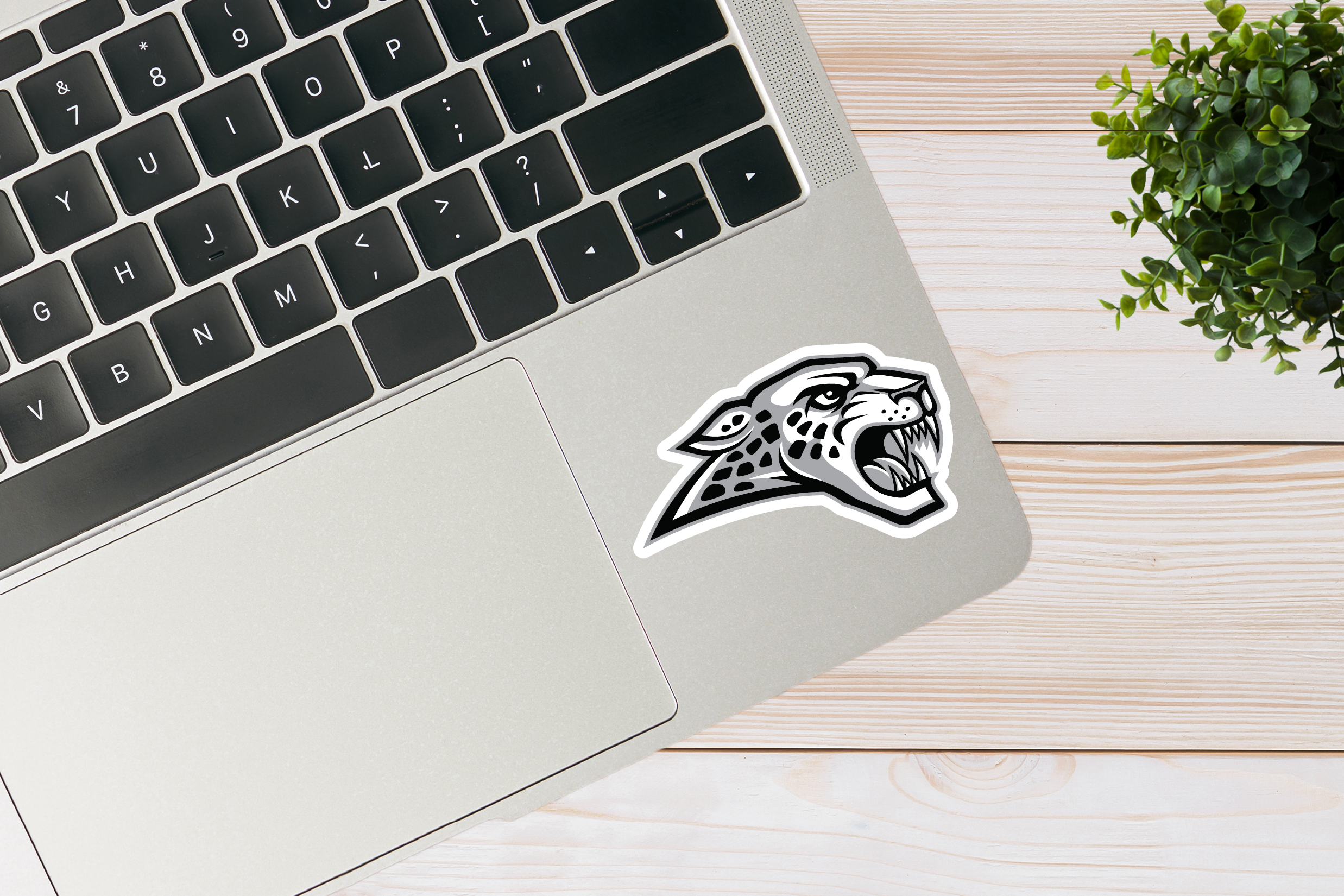AC Jaguars Sticker – NCT Designs