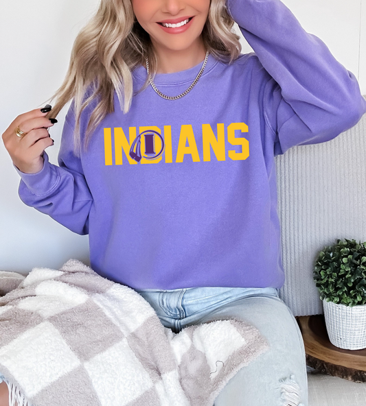 Indians Knockout Premium Sweatshirt