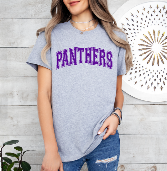 Panthers Arch T-Shirt
