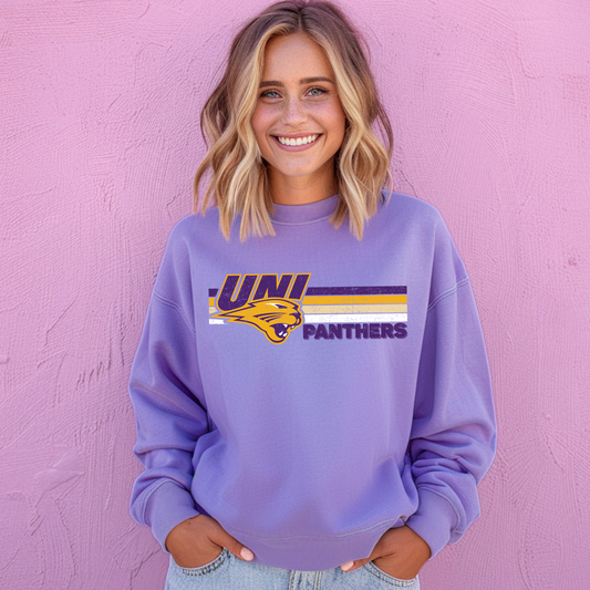 Panthers Vintage Linear Premium Sweatshirt