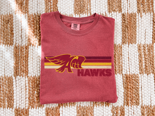 Ankeny Hawks Vintage Linear T-shirt