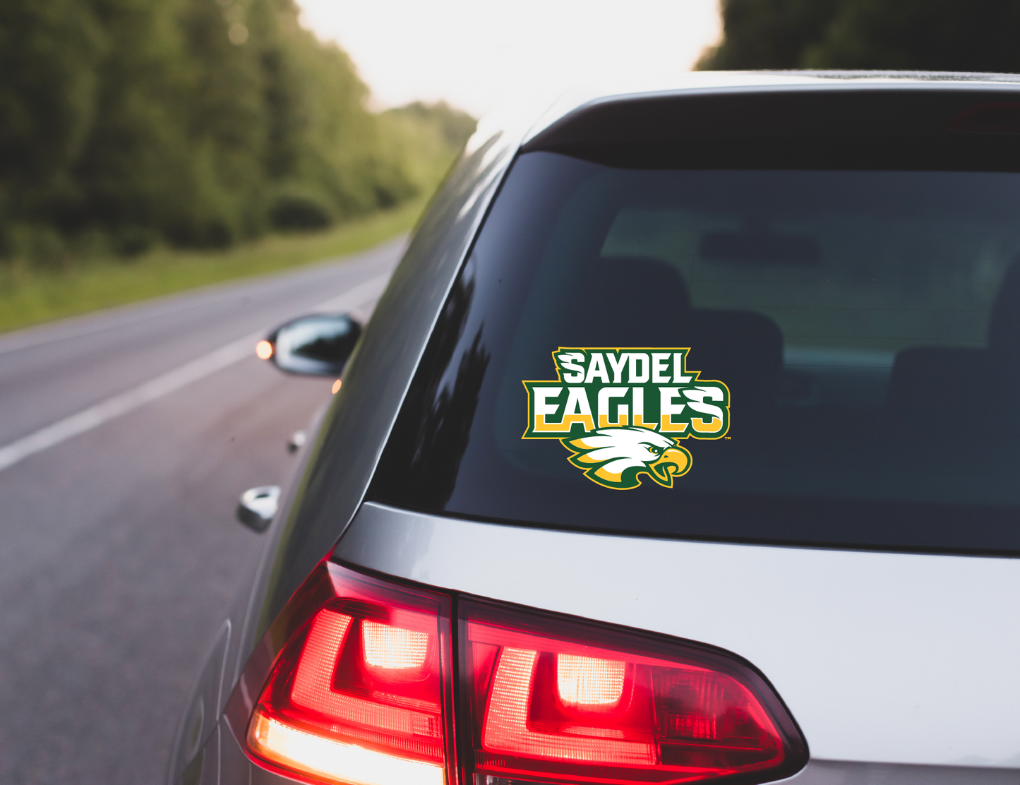 Saydel Eagles Logo Decal - Multiple Designs