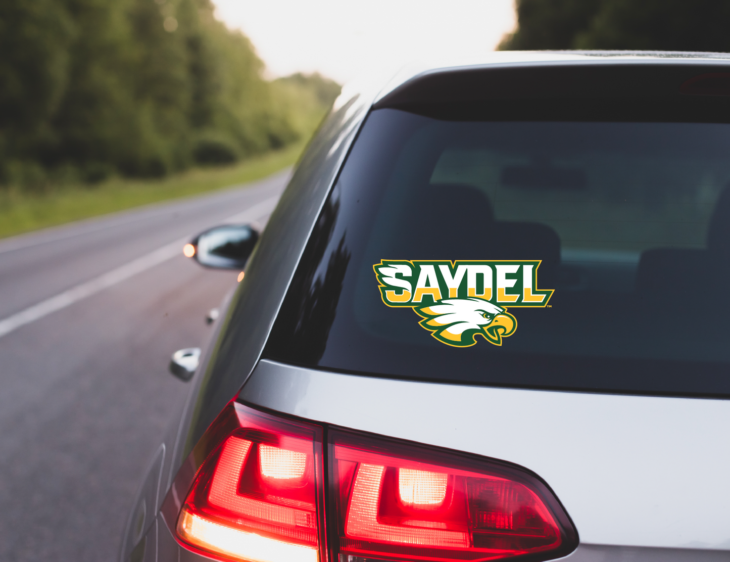 Saydel Eagles Logo Decal - Multiple Designs