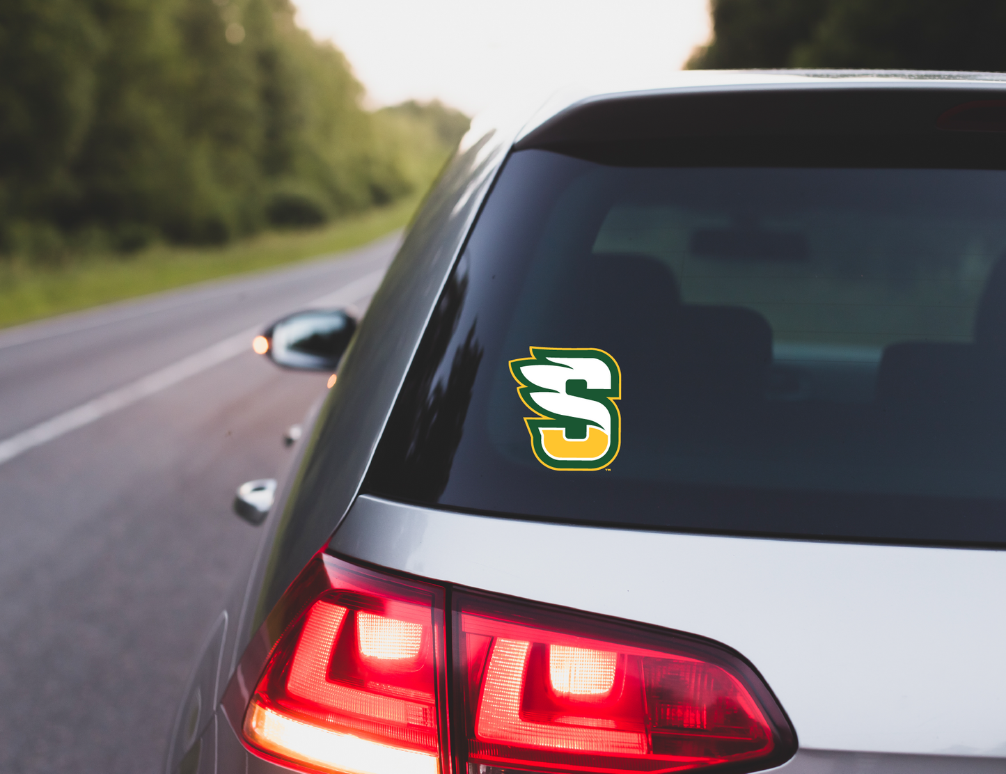 Saydel Eagles Logo Decal - Multiple Designs